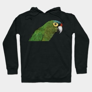 Eupsittula canicularis Hoodie